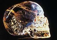 craniul de-a lungul anilor fost cranii din cristal, ridicat mari semne ntrebare modului atipic care