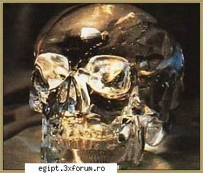 craniul craniu