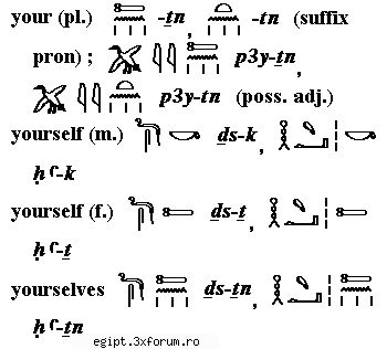 dictionar englez egiptean part