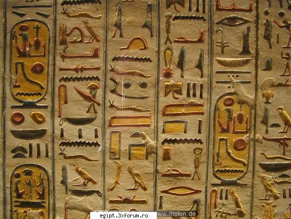 h hieroglife